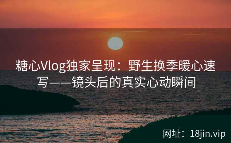 糖心Vlog独家呈现：野生换季暖心速写——镜头后的真实心动瞬间