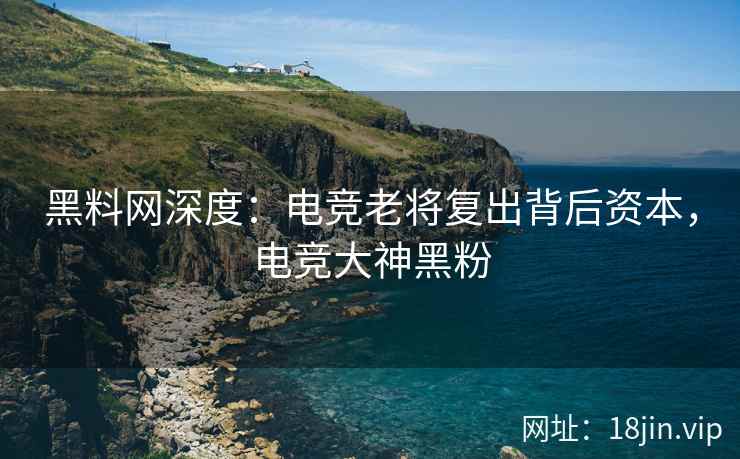 黑料网深度：电竞老将复出背后资本，电竞大神黑粉