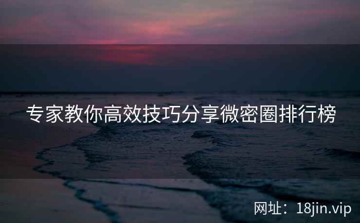专家教你高效技巧分享微密圈排行榜