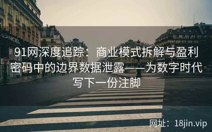 91网深度追踪：商业模式拆解与盈利密码中的边界数据泄露——为数字时代写下一份注脚