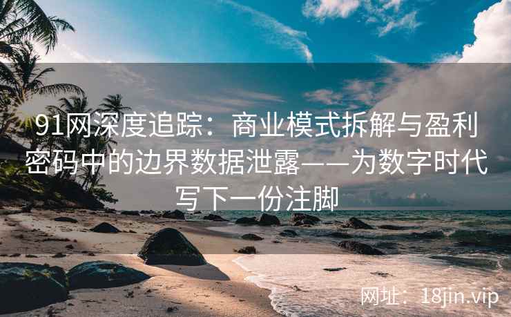 91网深度追踪：商业模式拆解与盈利密码中的边界数据泄露——为数字时代写下一份注脚