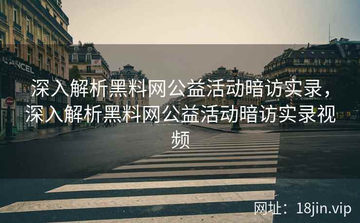 深入解析黑料网公益活动暗访实录，深入解析黑料网公益活动暗访实录视频