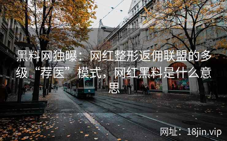 黑料网独曝：网红整形返佣联盟的多级“荐医”模式，网红黑料是什么意思