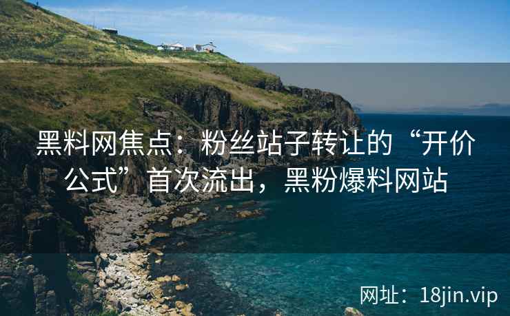 黑料网焦点：粉丝站子转让的“开价公式”首次流出，黑粉爆料网站